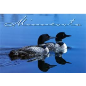 Requirements to become a pharmacy technician in Minnesota